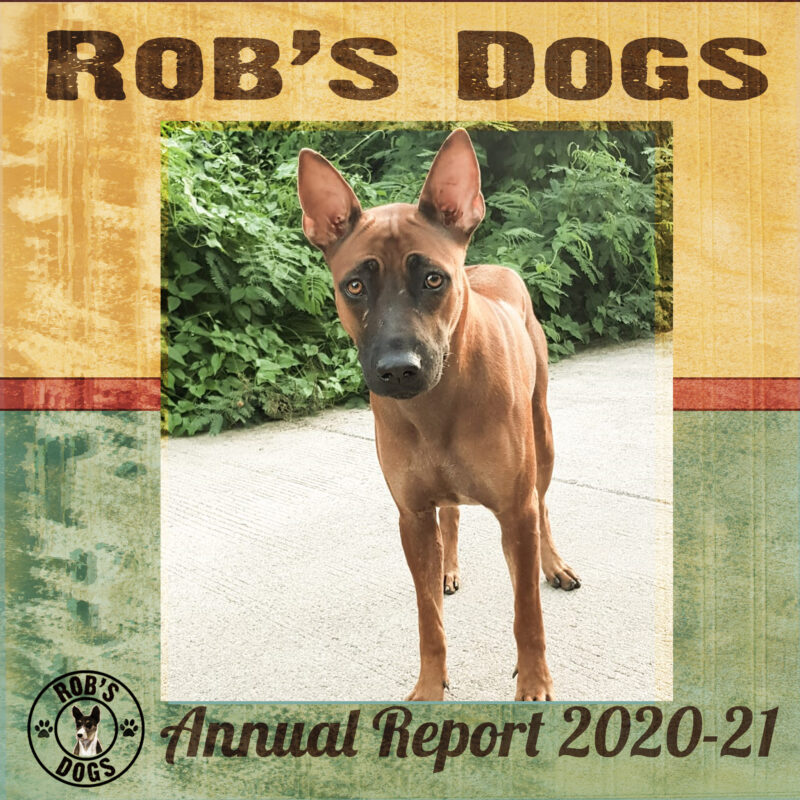 Rob’s Dogs Thailand Annual Report 2020–2021 Cover