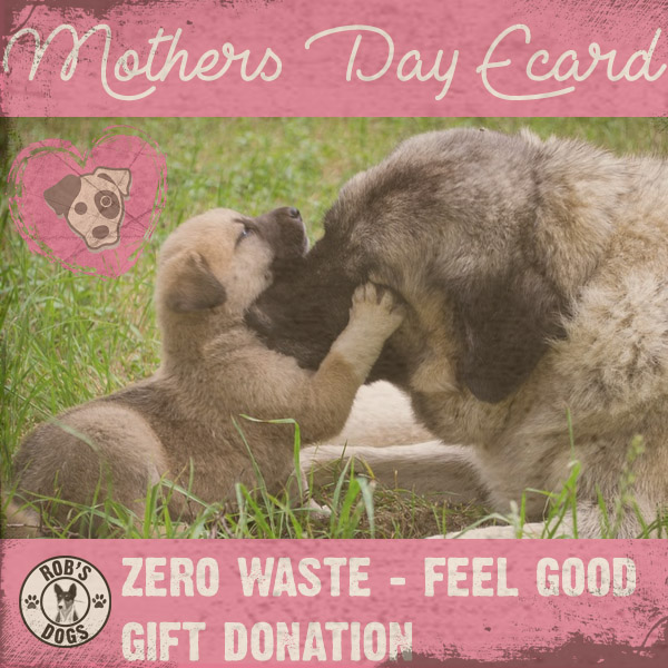 Mothers Day E-Card