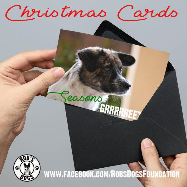 Christmas E-Cards