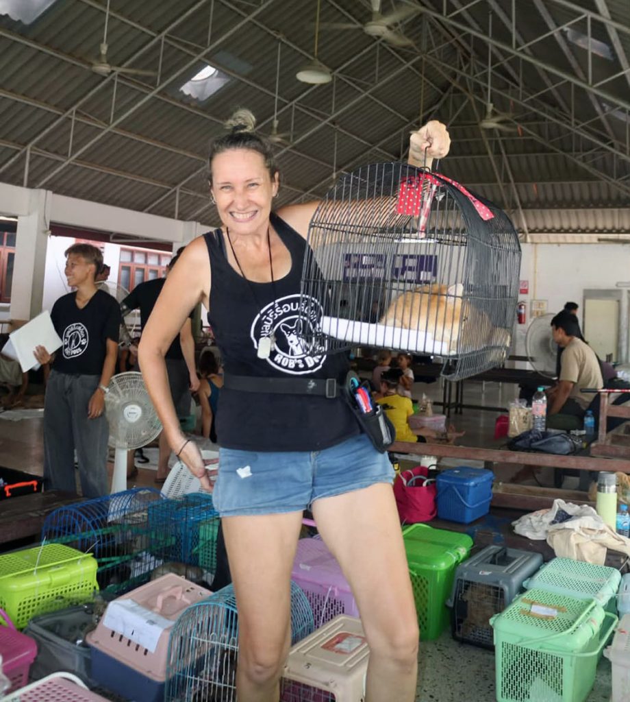 Cat recovering after sterilization surgery with Rebecca, our fearless Robs Dogs founder and leader