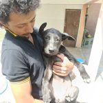 Tiger, veterinary technician at Rob’s Dogs supporting spay and neuter programs in Thailand