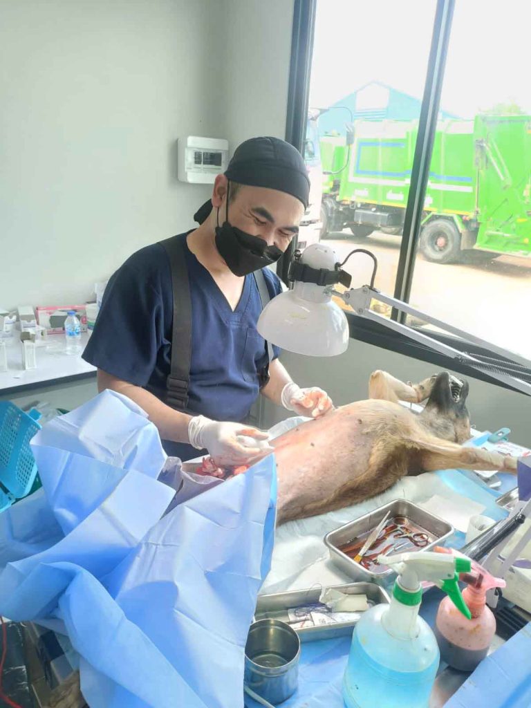 Sterilization in Trang