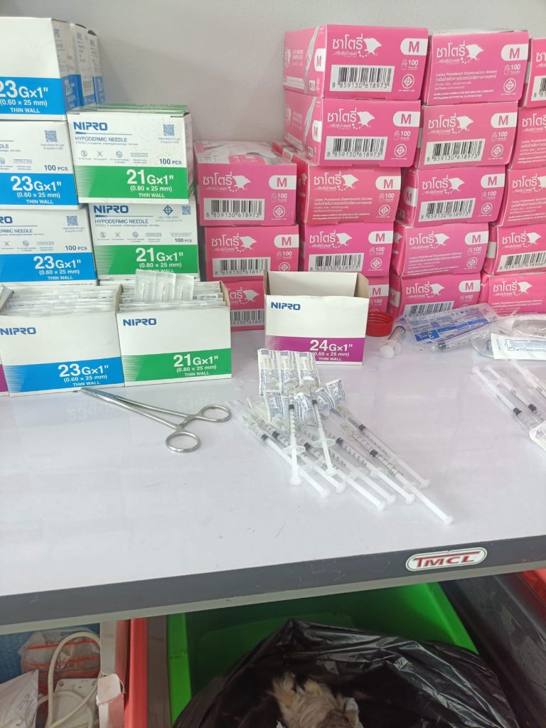 Medical supplies for Rob's Dogs in Trang