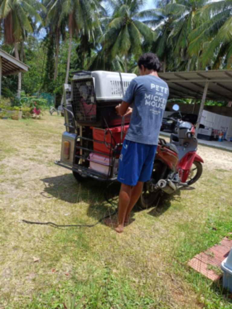 Rob's Dogs arriving with supplies for spay and neuter event in Khanom