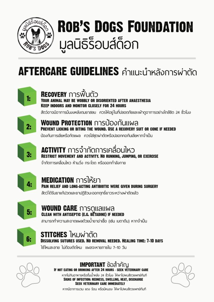 Aftercare Guidelines Rob's Dogs