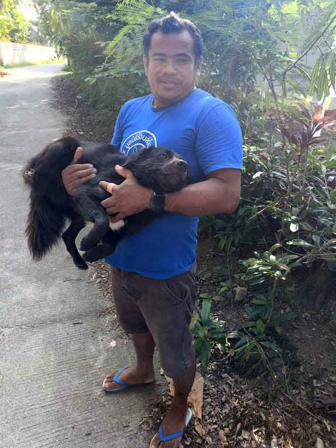 Capture jungle dog for spay/neuter