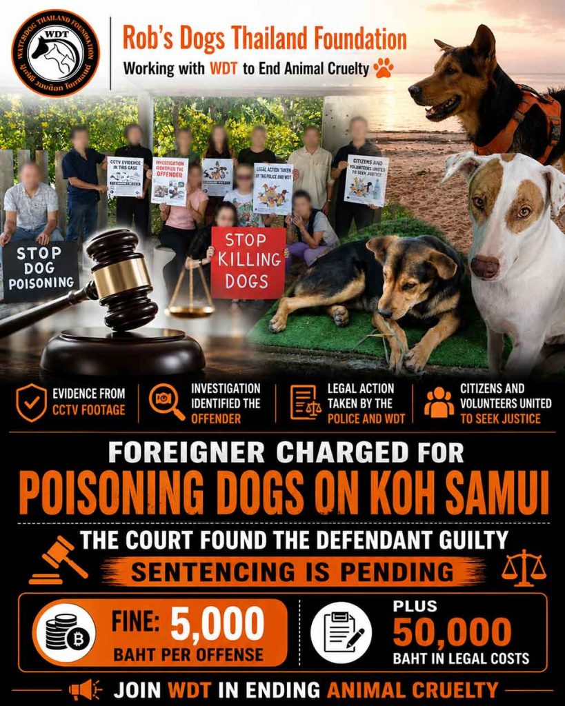 Poisoning Dogs Sentencing