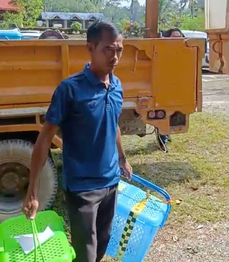 Man arriving with cats